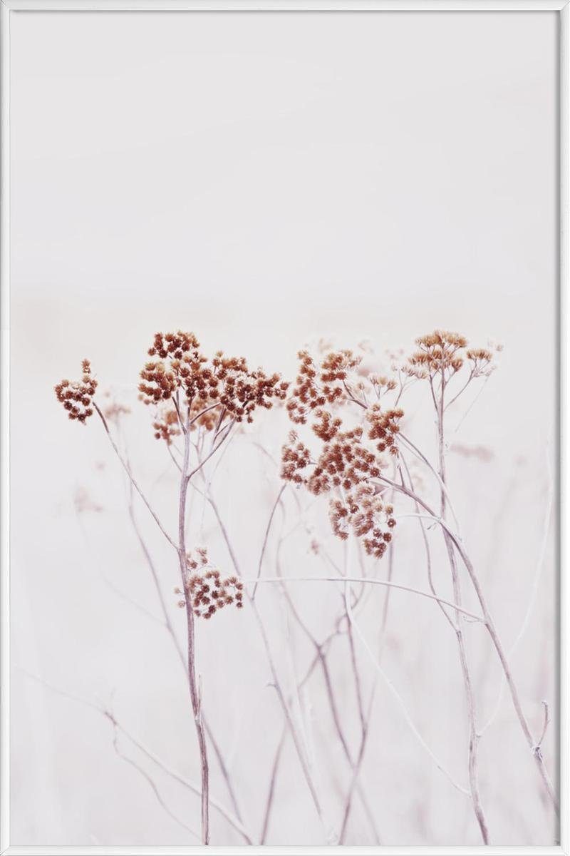 Strigel mit White in Poster mit Fine-Art-Print einem 1 St), breiten, Monika Kunststoffrahmen, (1 Juniqe Galeriequalität cm Poster Rand weißen