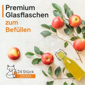 Flaschen-Fuchs Vorratsglas 250ml Flaschen zum Befüllen Bügelverschluss Schnaps Likörflaschen, Glas, (24er Set)