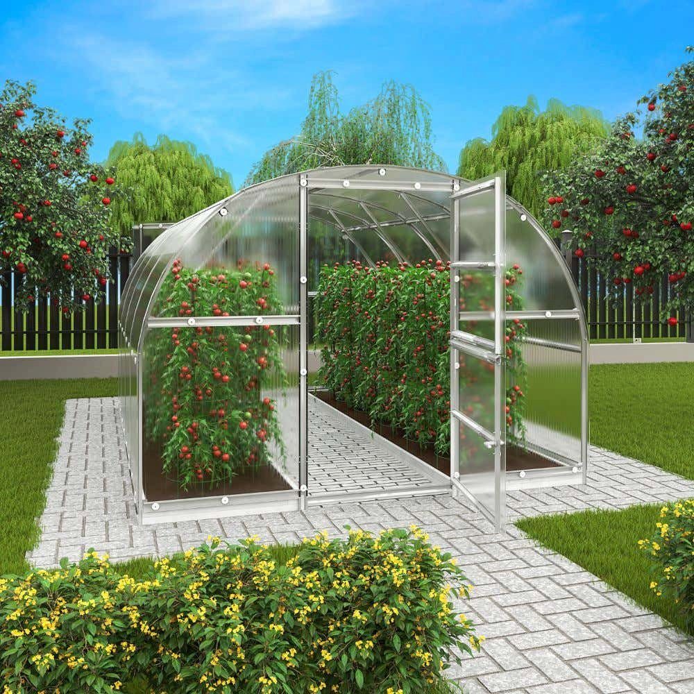 Terrando Gewächshaus Estragon 3x6m, BxTxH: 300 günstig online kaufen