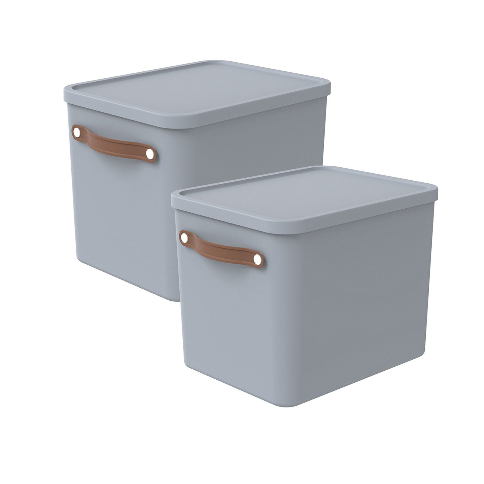 ROTHO Aufbewahrungsbox (Aufbewahrungsset, 2er-Set) günstig online kaufen