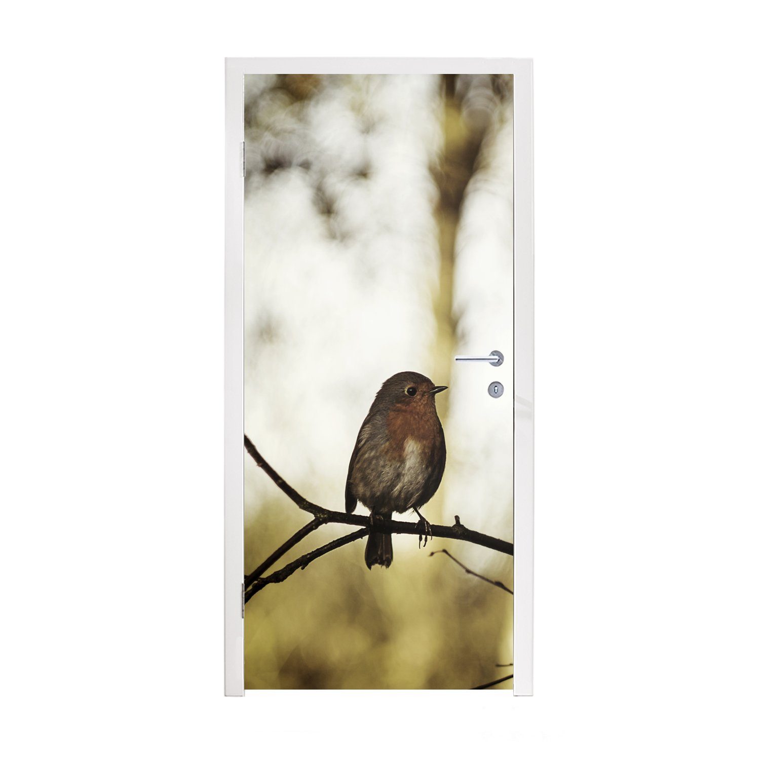 Natur Zweig, Fototapete Rotkehlchen für St), 75x205 cm Türaufkleber, (1 MuchoWow bedruckt, Tür, Matt, - - Türtapete