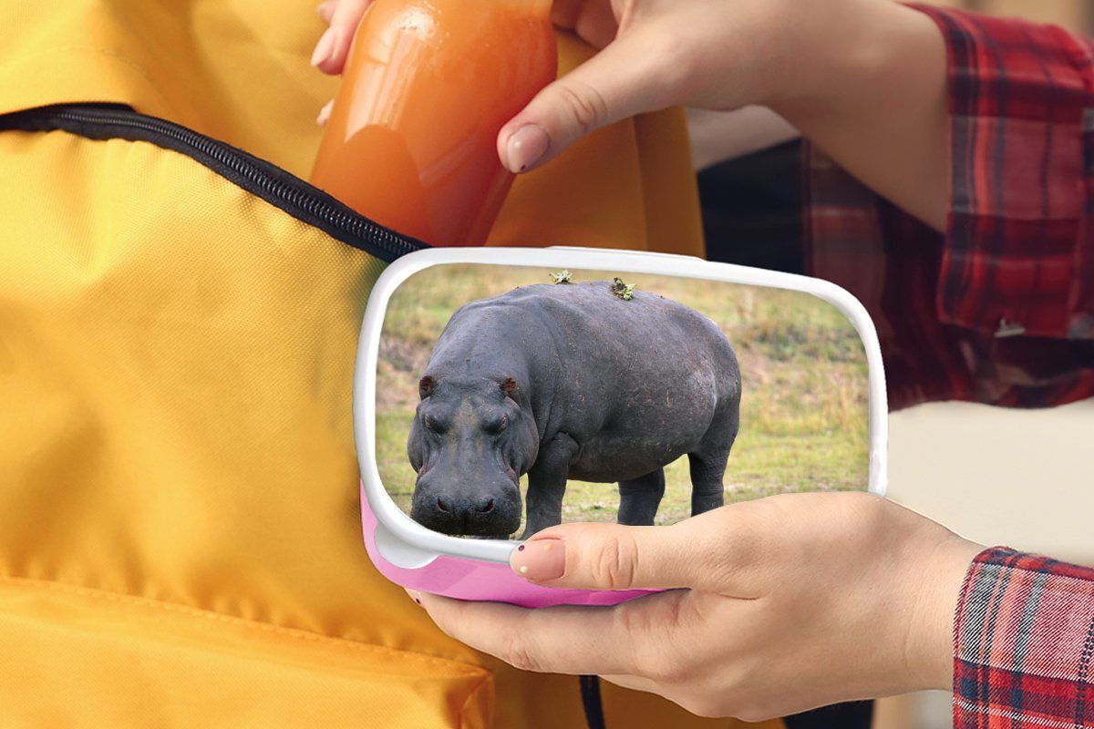 MuchoWow Lunchbox Nilpferd - für Mädchen, (2-tlg), Gras, Snackbox, Kunststoff Brotdose Kinder, rosa Brotbox Erwachsene, Kunststoff