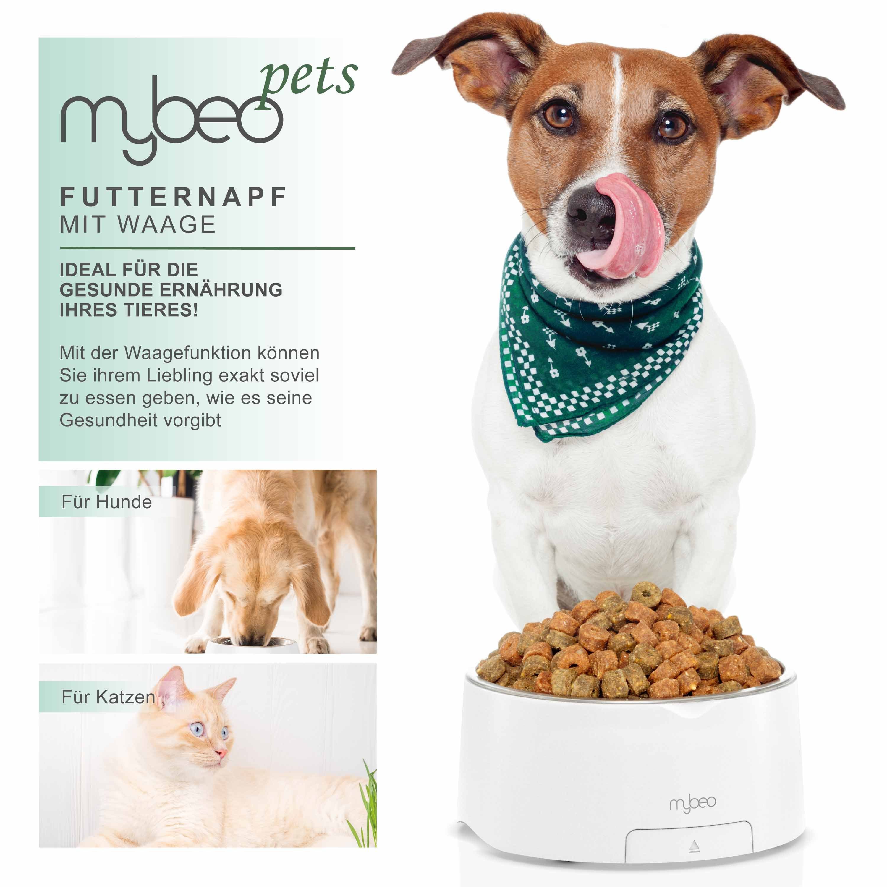 MyBeo Futternapf Futternapf, Futter & Trinknapf mit Waage bis 5 kg, Edelstahl, herausnehmbarer Napf, Hundenapf, Tara, 1000 ml