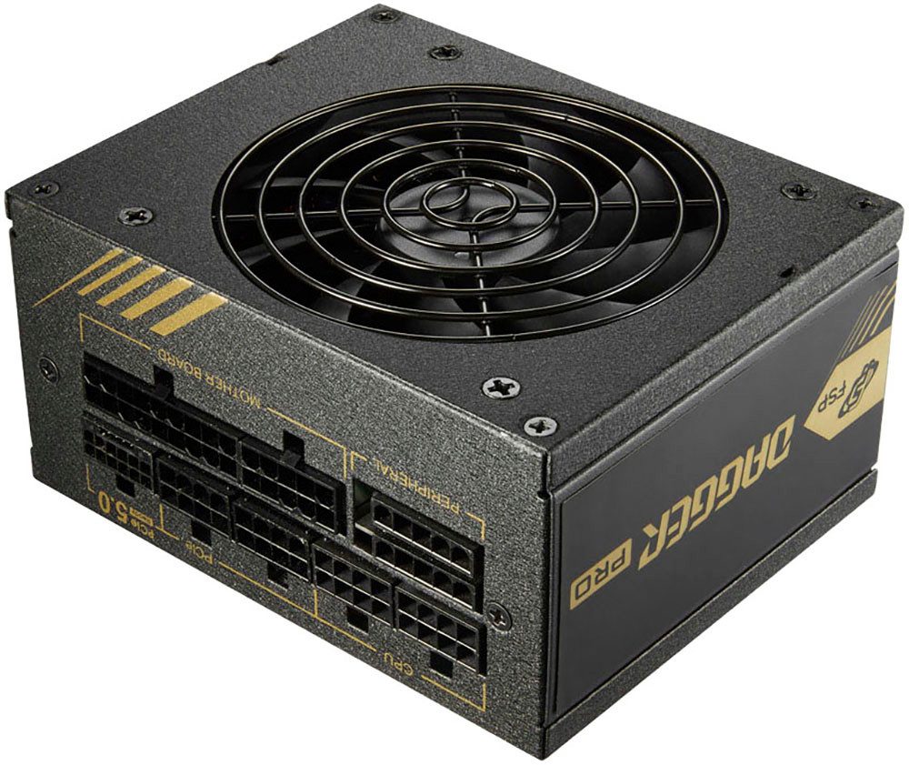 Fortron DAGGER PRO 850W Netzteil
