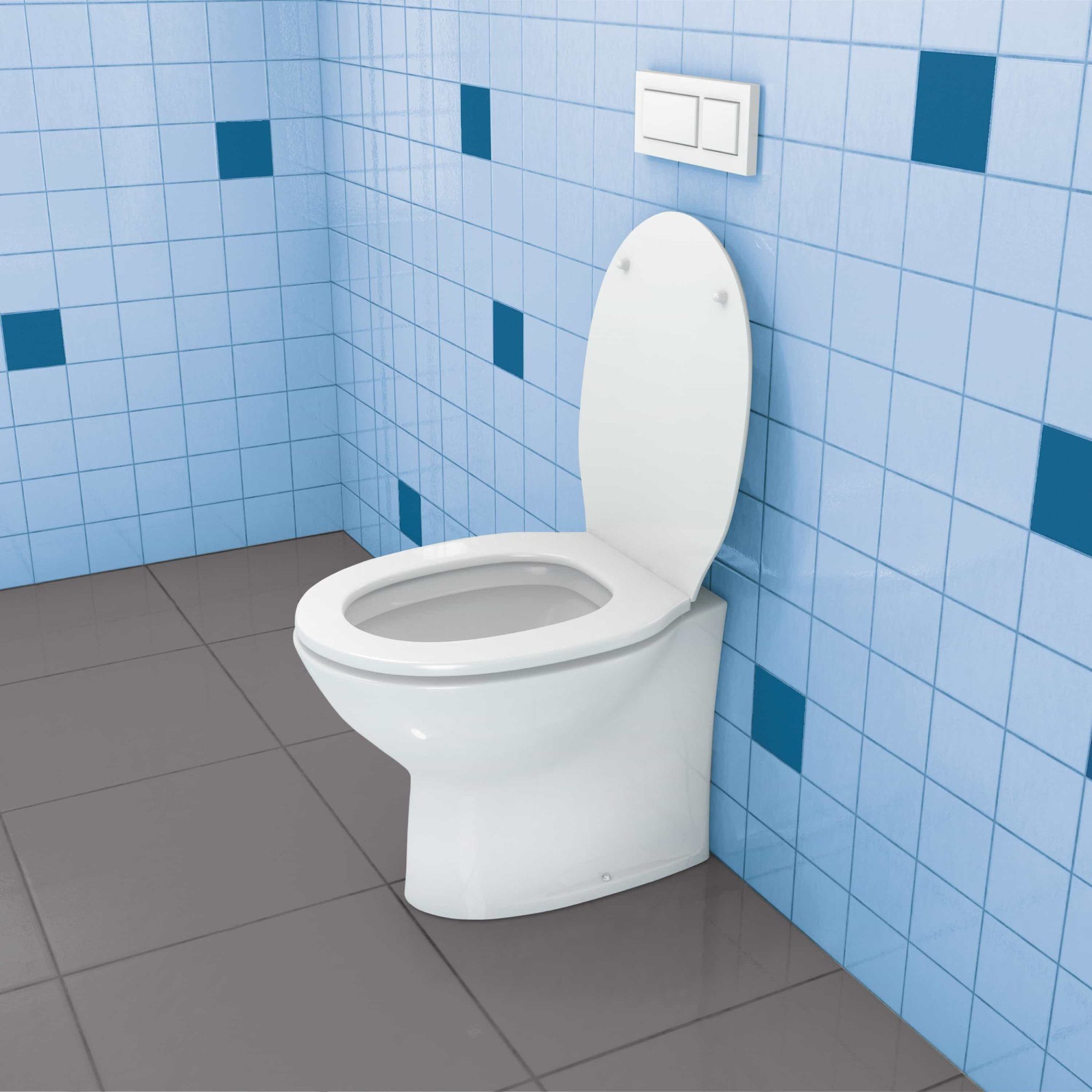 TOX-DÜBEL-TECHNIK Universaldübel, TOX Spiegelbefestigung Stand-WC-Befestigung weiß Toilet Plus Look
