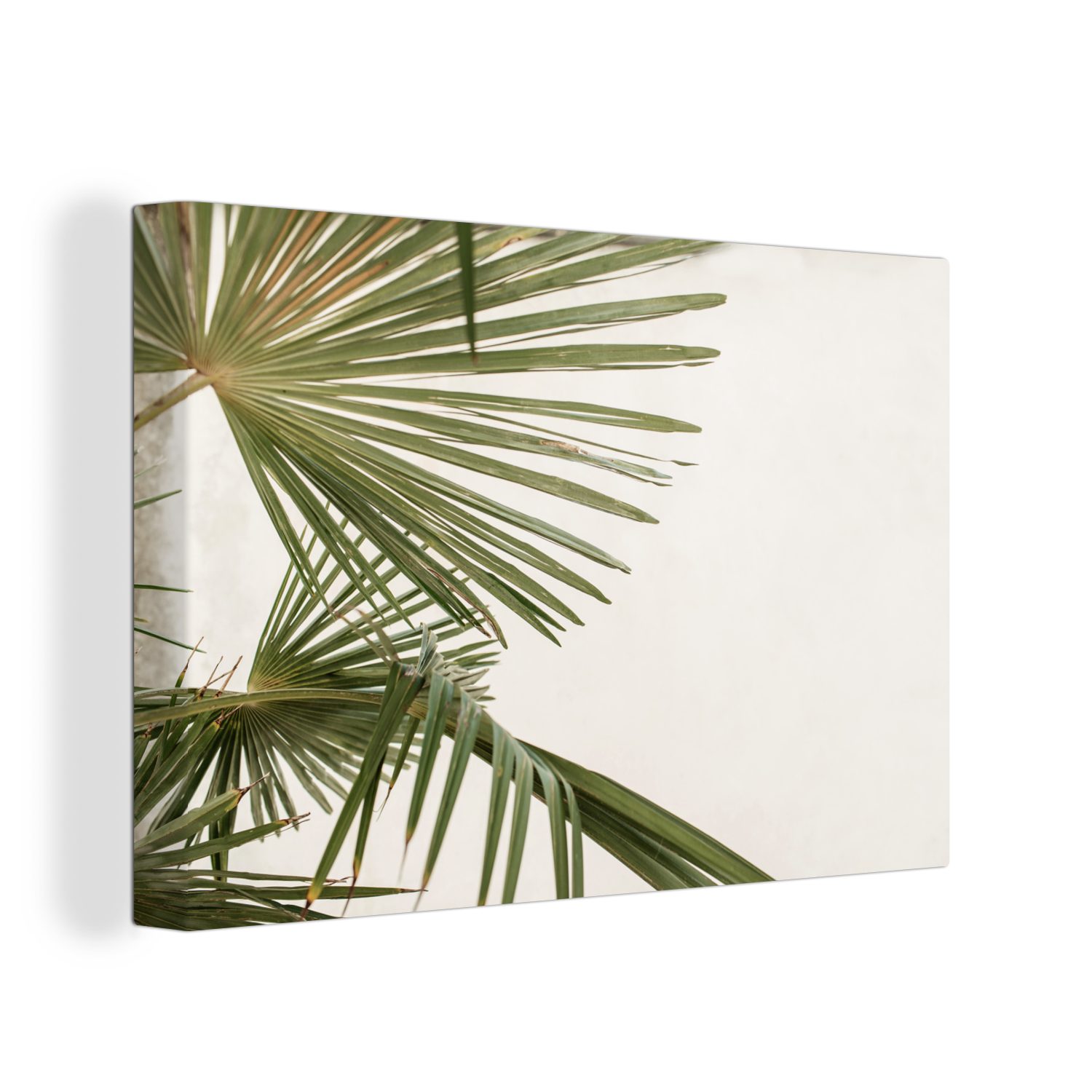 Leinwandbilder, OneMillionCanvasses® Palme Blätter 30x20 Grün, Wandbild - cm Aufhängefertig, Leinwandbild - Wanddeko, St), (1