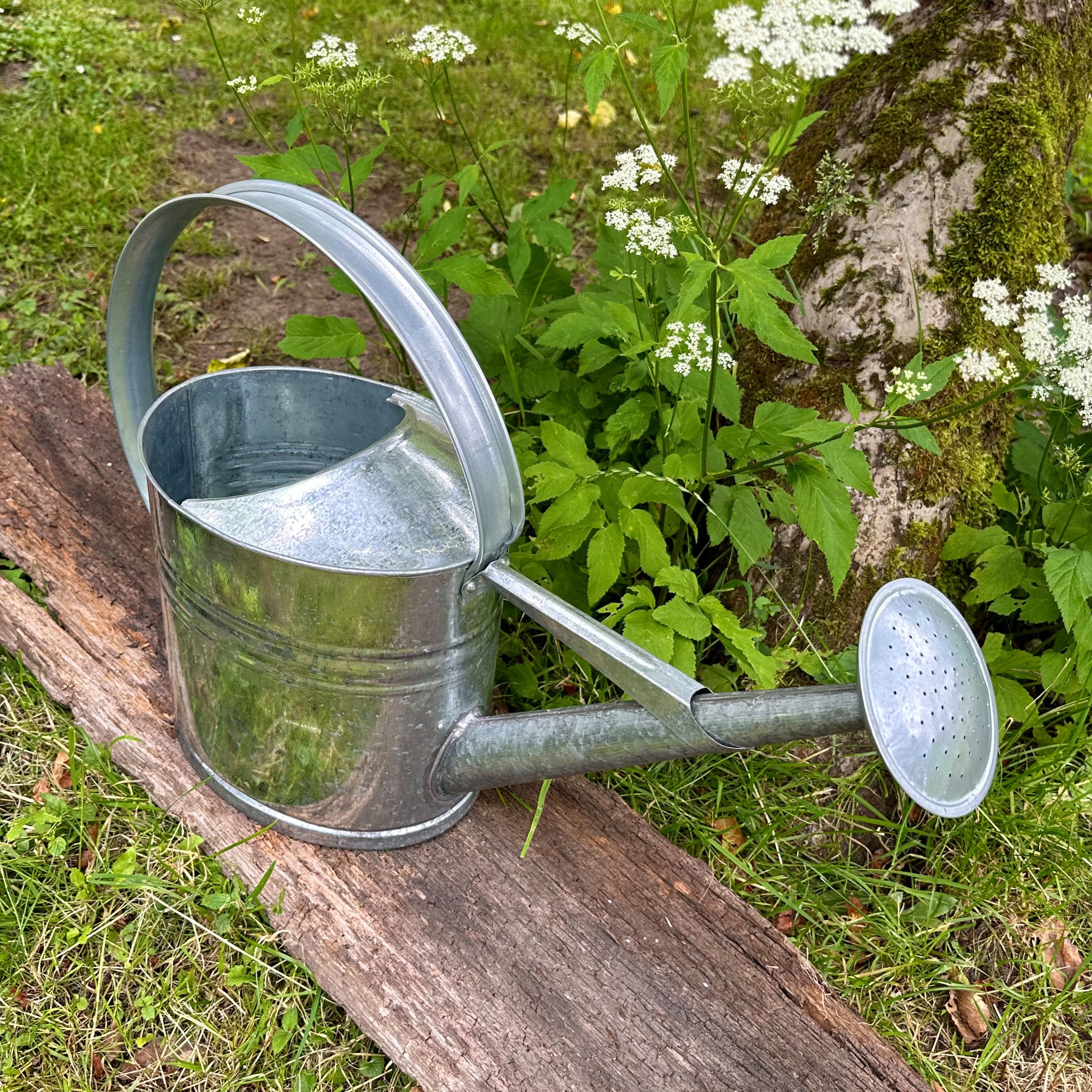 Antikas Gartenpflege-Set Gießkanne aus Altzink, L, Silber, Deko-Kanne