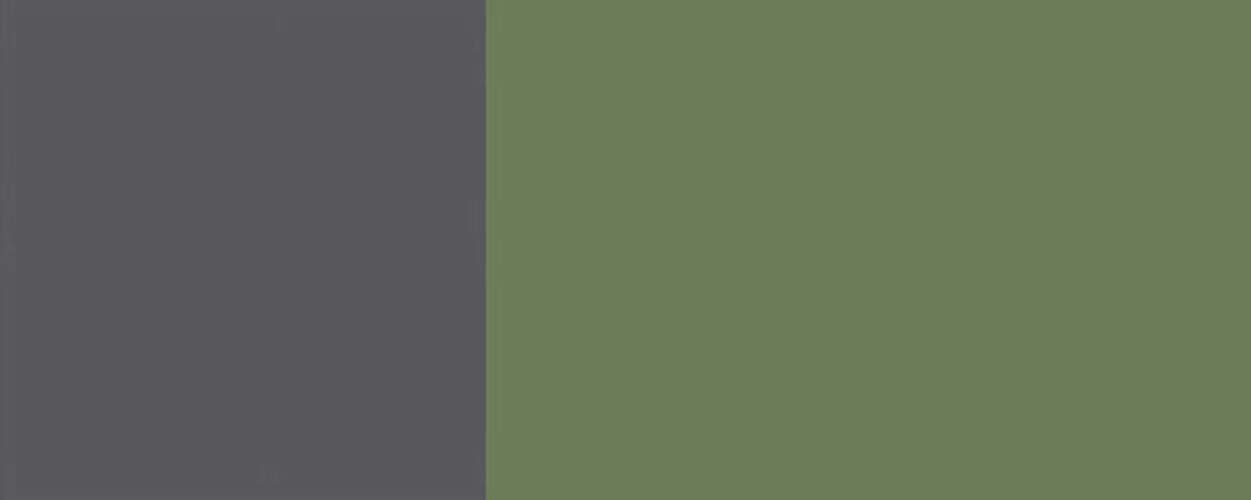 RAL Einbaugeräte resedagrün Front- Feldmann-Wohnen Korpusfarbe (Tivoli) matt Hochschrank Tivoli 60cm & 2 Fächer 6011 wählbar 1Schublade für