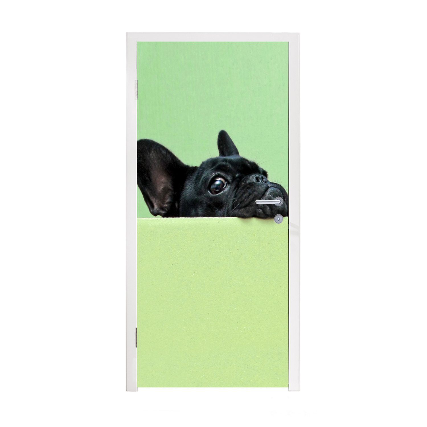 MuchoWow Türtapete Französische Bulldogge (1 Grün - Türaufkleber, - Schwarz, für bedruckt, Tür, St), Fototapete Matt, cm 75x205