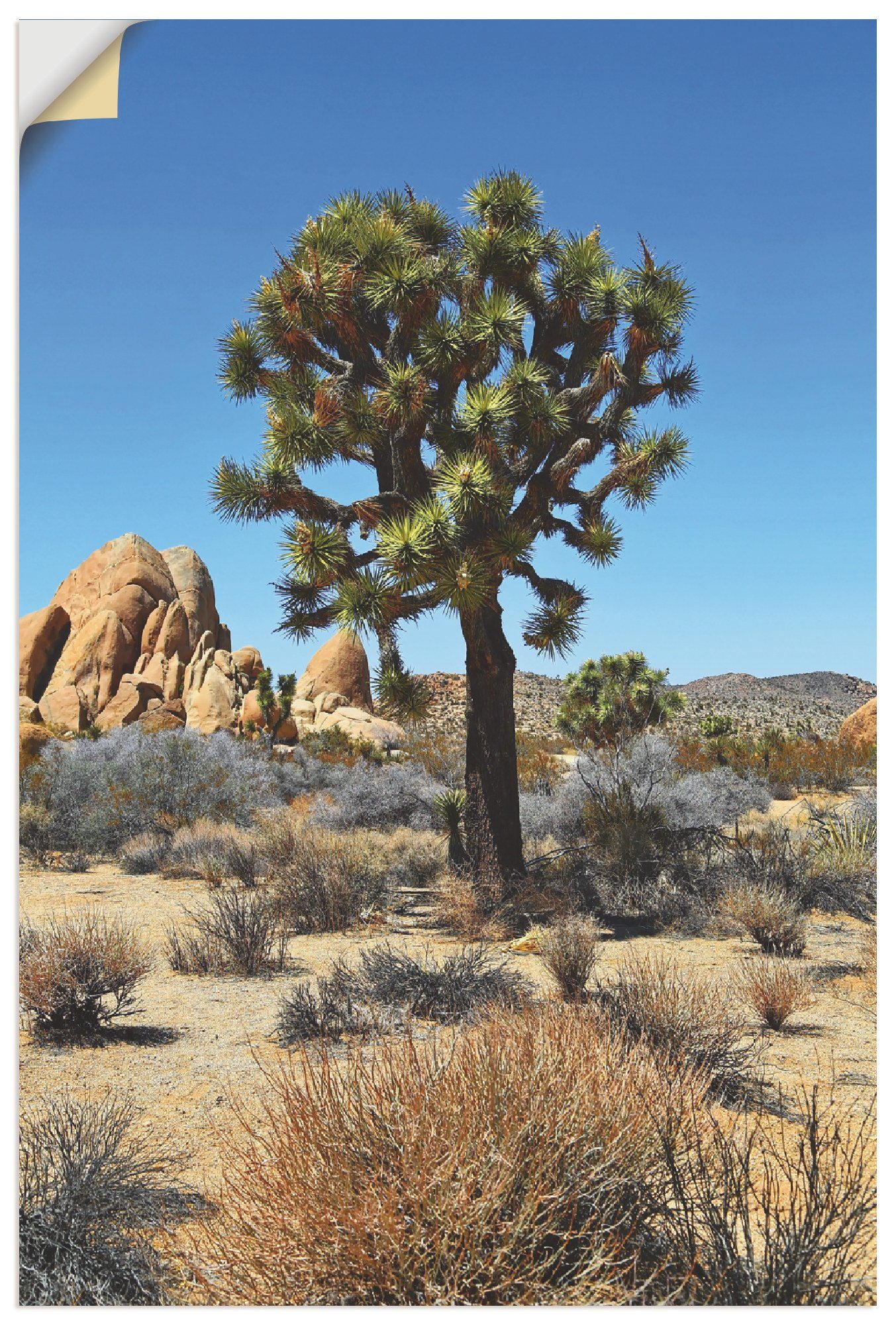 in in versch. Joshua Leinwandbild, (1 der St), Tree Poster Wüste als Artland Wüste Wandbild Mojave Alubild, Wandaufkleber oder III, Größen