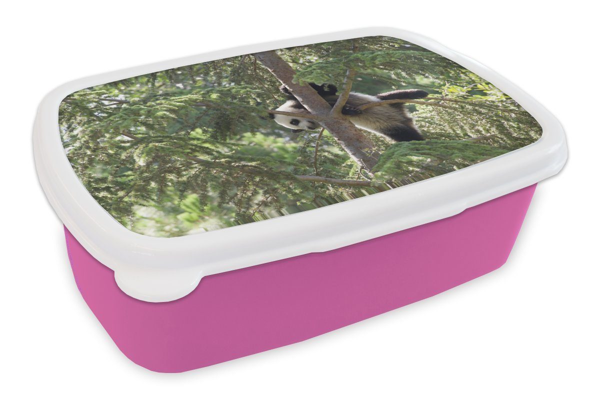 MuchoWow Lunchbox Panda - Baum - Blätter, Kunststoff, (2-tlg), Brotbox für Erwachsene, Brotdose Kinder, Snackbox, Mädchen, Kunststoff rosa