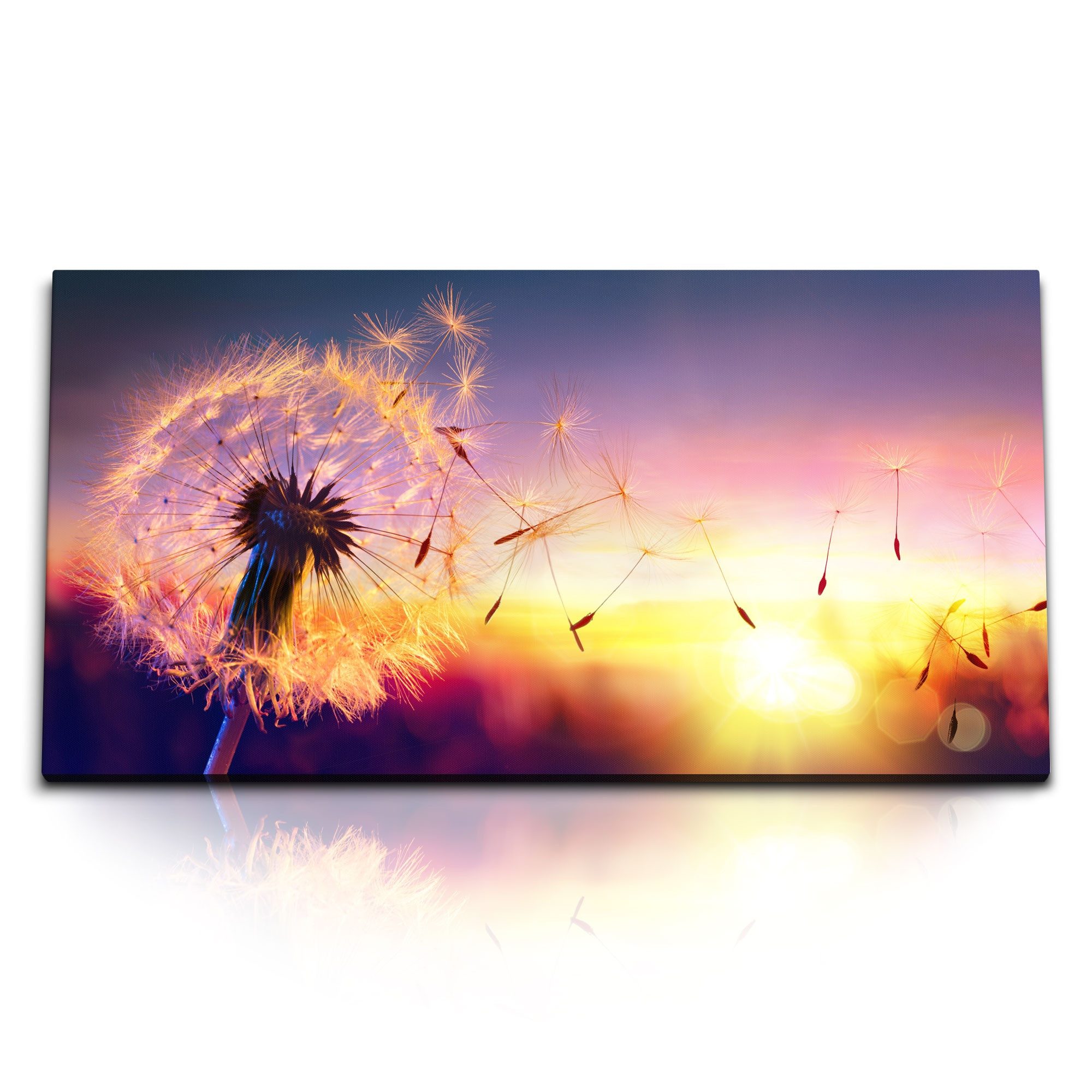 Leinwandbild Kunstdruck Bilder 120x60cm Sonnenuntergang Abendröte Pusteblume Fotoku