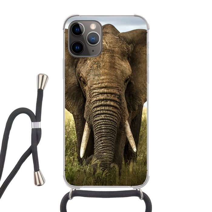 MuchoWow Handyhülle Elefant - Natur - Gras - Tiere - Landschaft Handyhülle Telefonhülle Apple iPhone 12 Pro Max