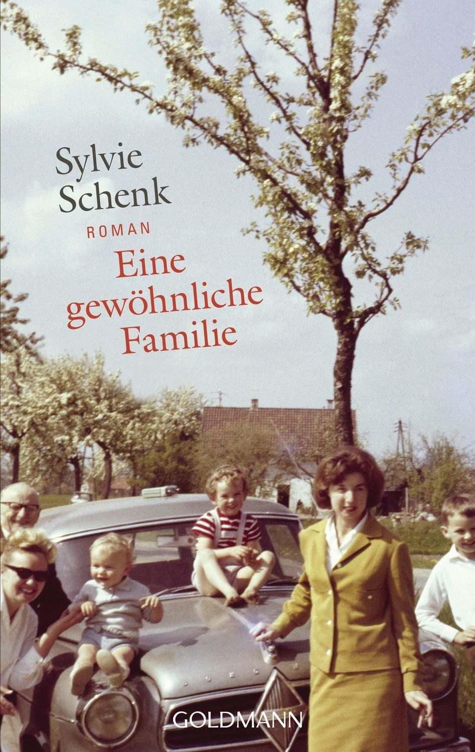 Eine gewöhnliche Familie / Sylvie Schenk
