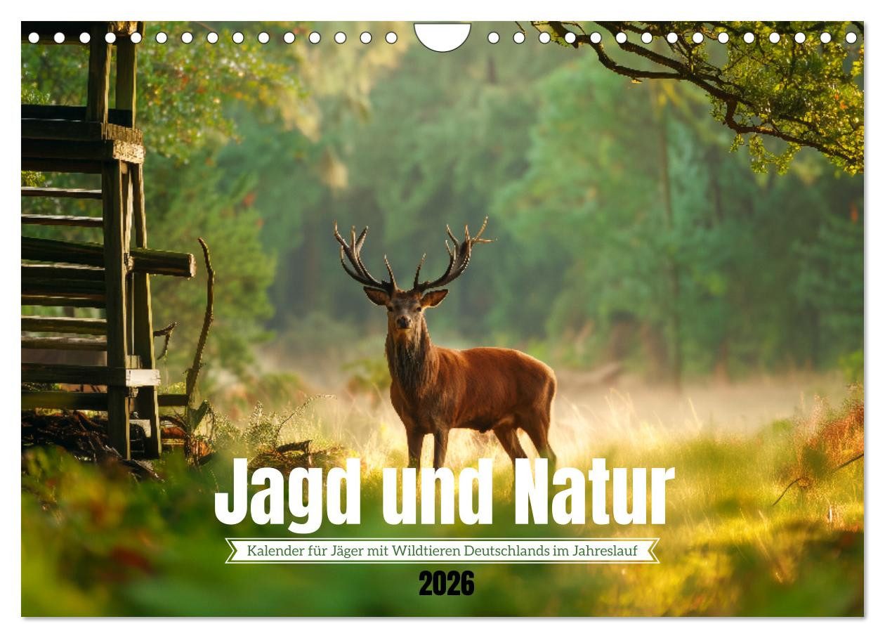 CALVENDO Wandkalender Jagd und Natur - Kalender für Jäger mit Wildtieren Deutschlands im Jah