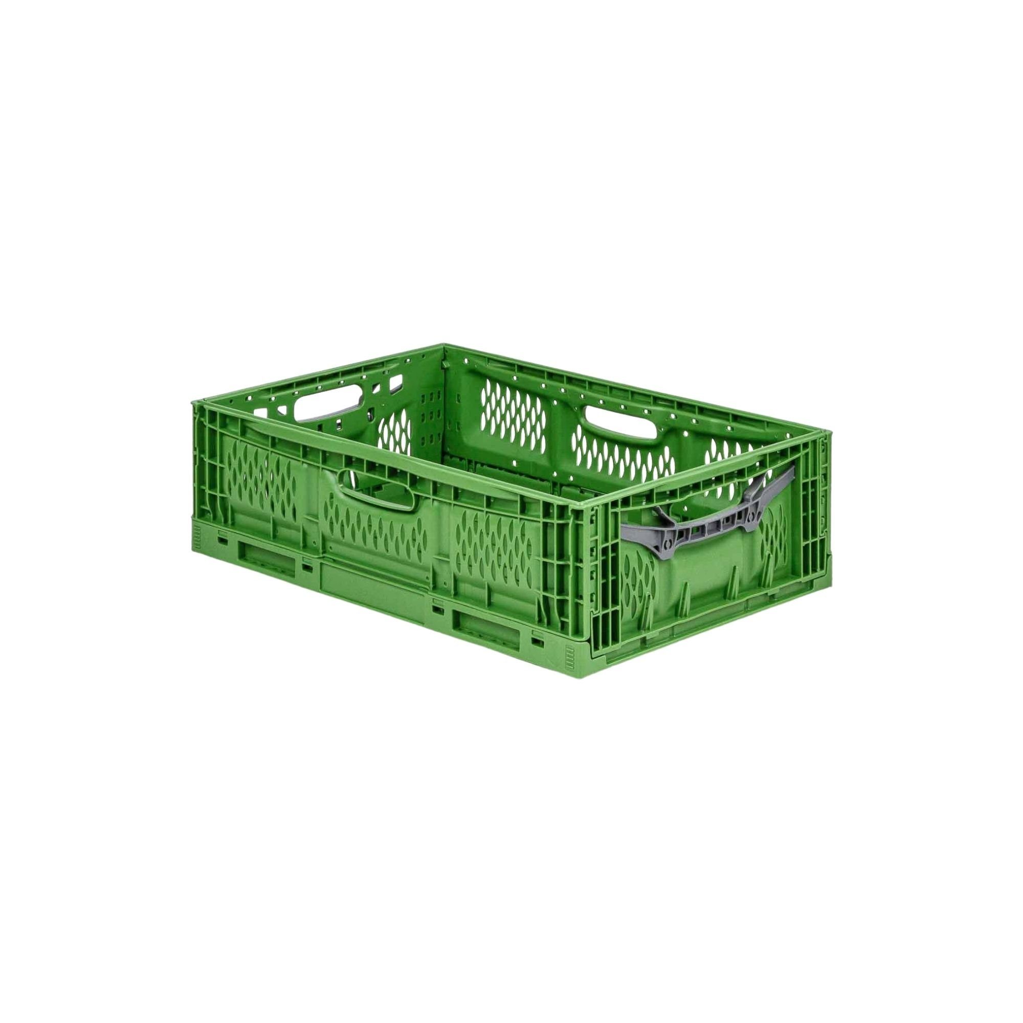 CHEFGASTRO® Faltbox Stabile Profi-Klappbox Chameleon in  Industriequalität/Mengen