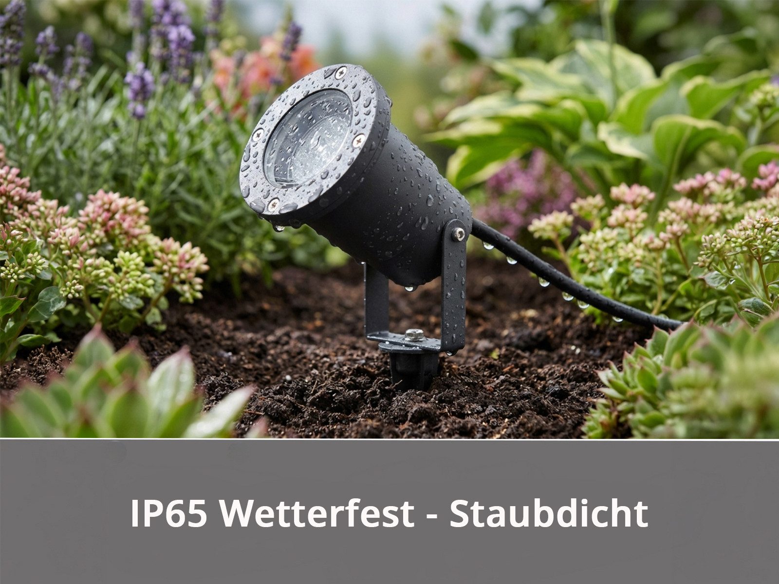 TRIO Leuchten LED Gartenstrahler 3er SET mit Erdspieß, Kabel & Stecker, LED wechselbar, Warmweiß, Außen Baum-Strahler, Beetlampe zur Garten-Beleuchtung & Wegbel – Bild 4 von 5