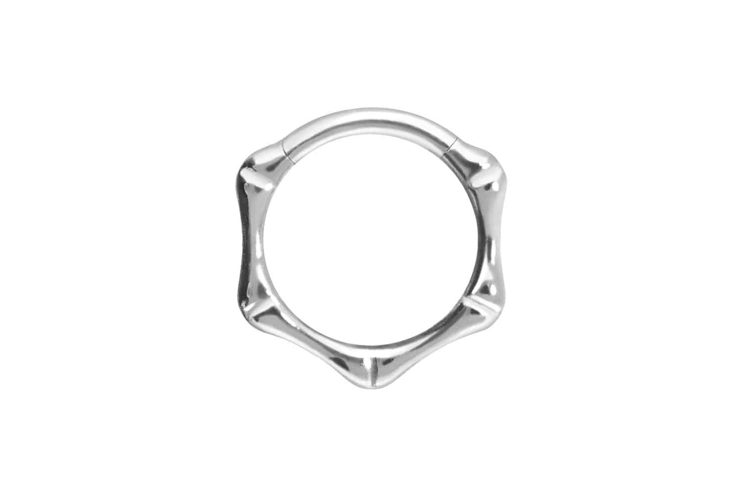 Piercing-Set Titan Segmentring Clicker KNOCHEN