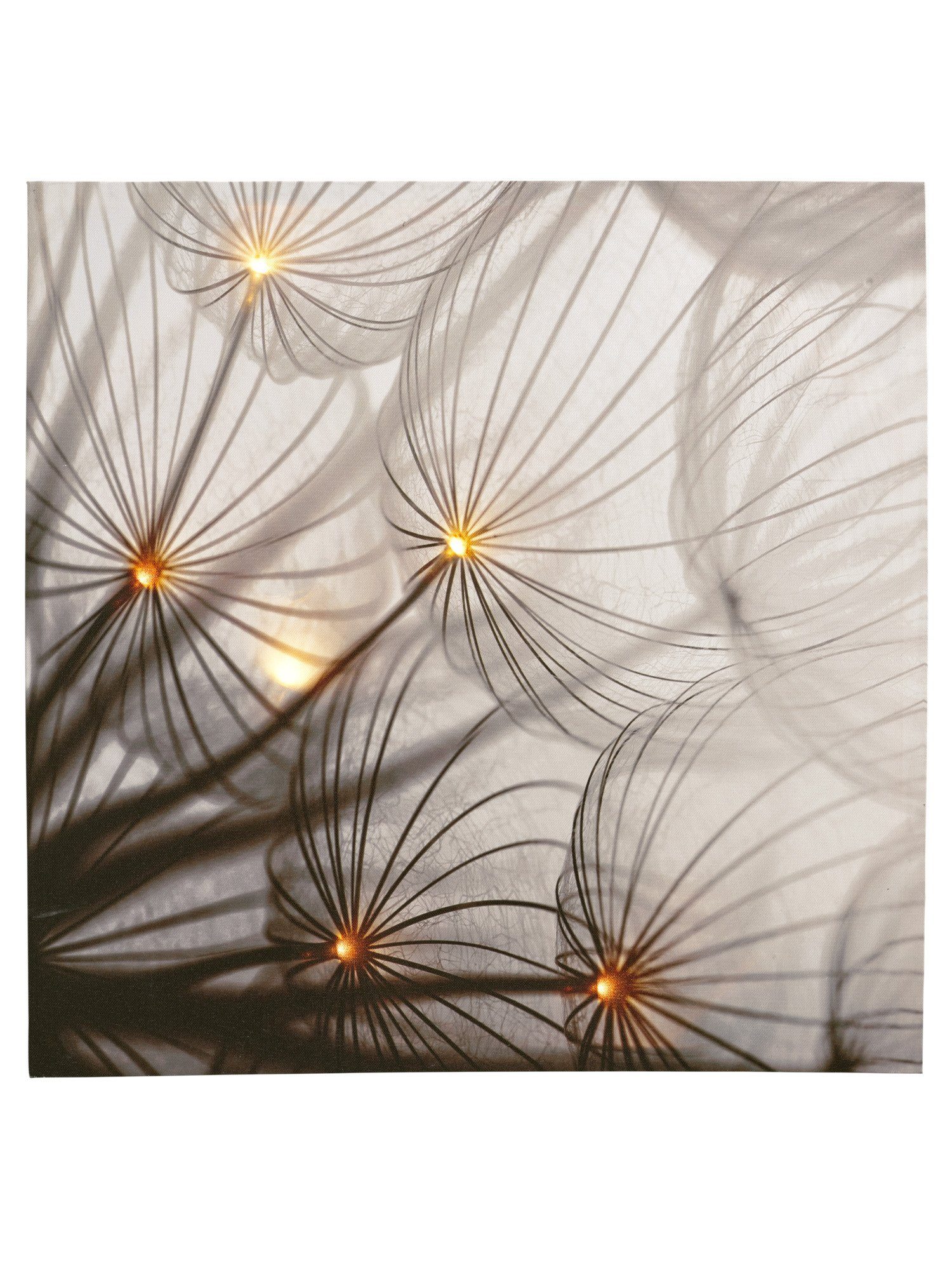 Led Bilder Online Kaufen Otto