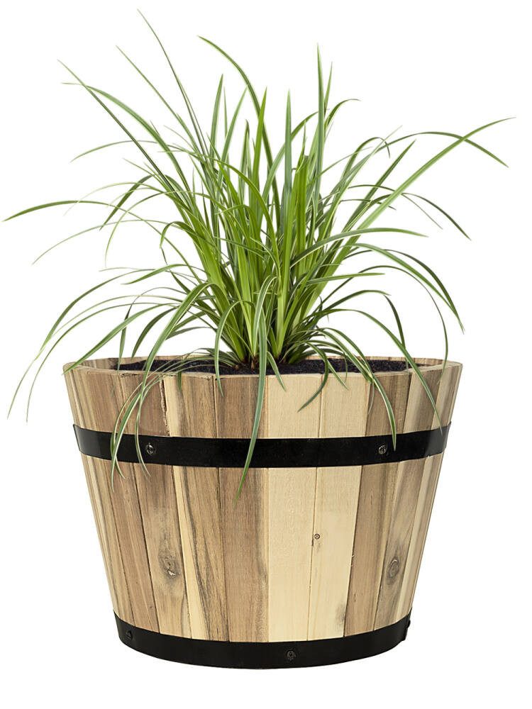 Pflanzwerk® Pflanzkübel CUP Premium Fiberglas Blumenkübel Frostbeständig mit Lotus-Effekt, Lotus-Effekt - Handgefertigt - Rund - Frostbeständig