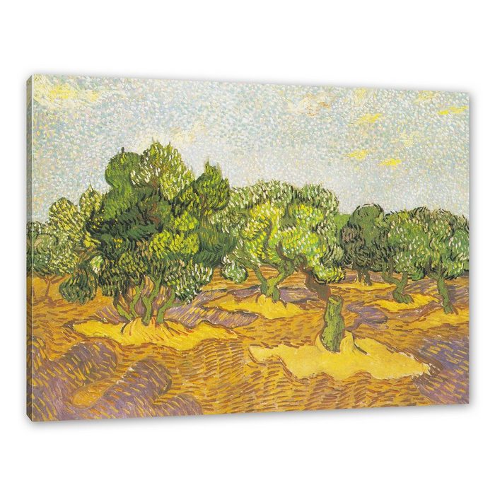 Pixxprint Leinwandbild Vincent Van Gogh - Oliven-Bäume II Wanddekoration (1 St) Leinwandbild fertig bespannt inkl. Zackenaufhänger