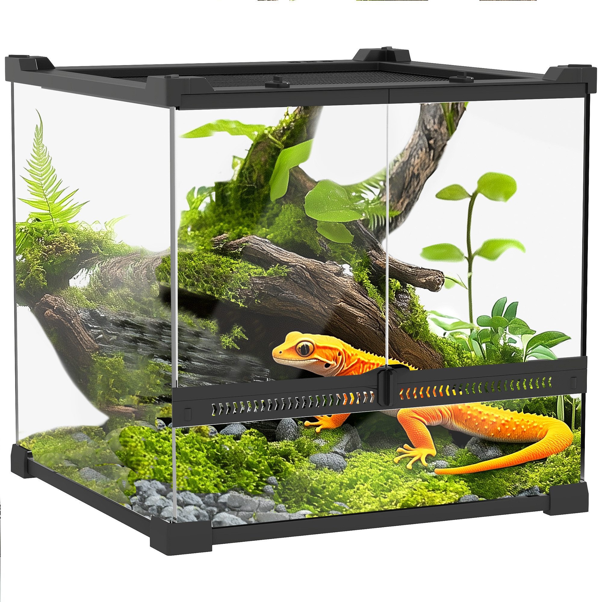 Terrarium mit Frontbelüftung, ausbruchsicherer Drehverschluss