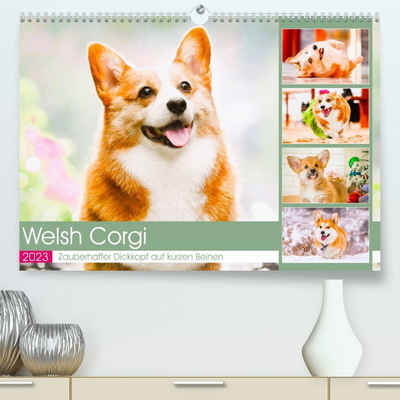 CALVENDO Wandkalender Welsh Corgi. Zauberhafter Dickkopf auf kurzen Beinen (Premium, hochwertiger DIN A2 Wandkalender 2023, Kunstdruck in Hochglanz)