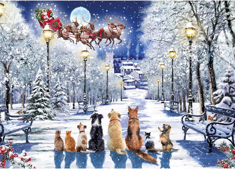 Otter House Puzzle Geduldiges Warten auf günstig online kaufen