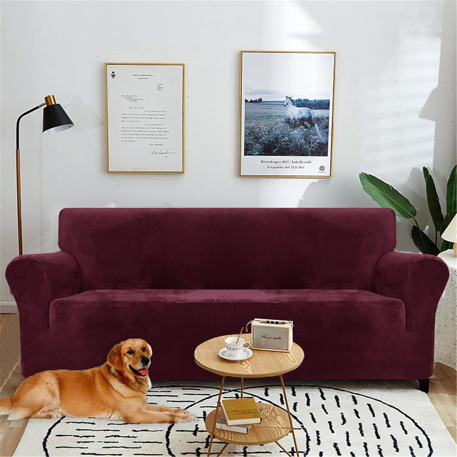 Diwzbyn Sofahusse Velvet Sofabezüge 1/2/3/4-Sitzer Stretch rutschfeste Couchbezug, für Hunde Katze Haustierfreundlich – Bild 2 von 5
