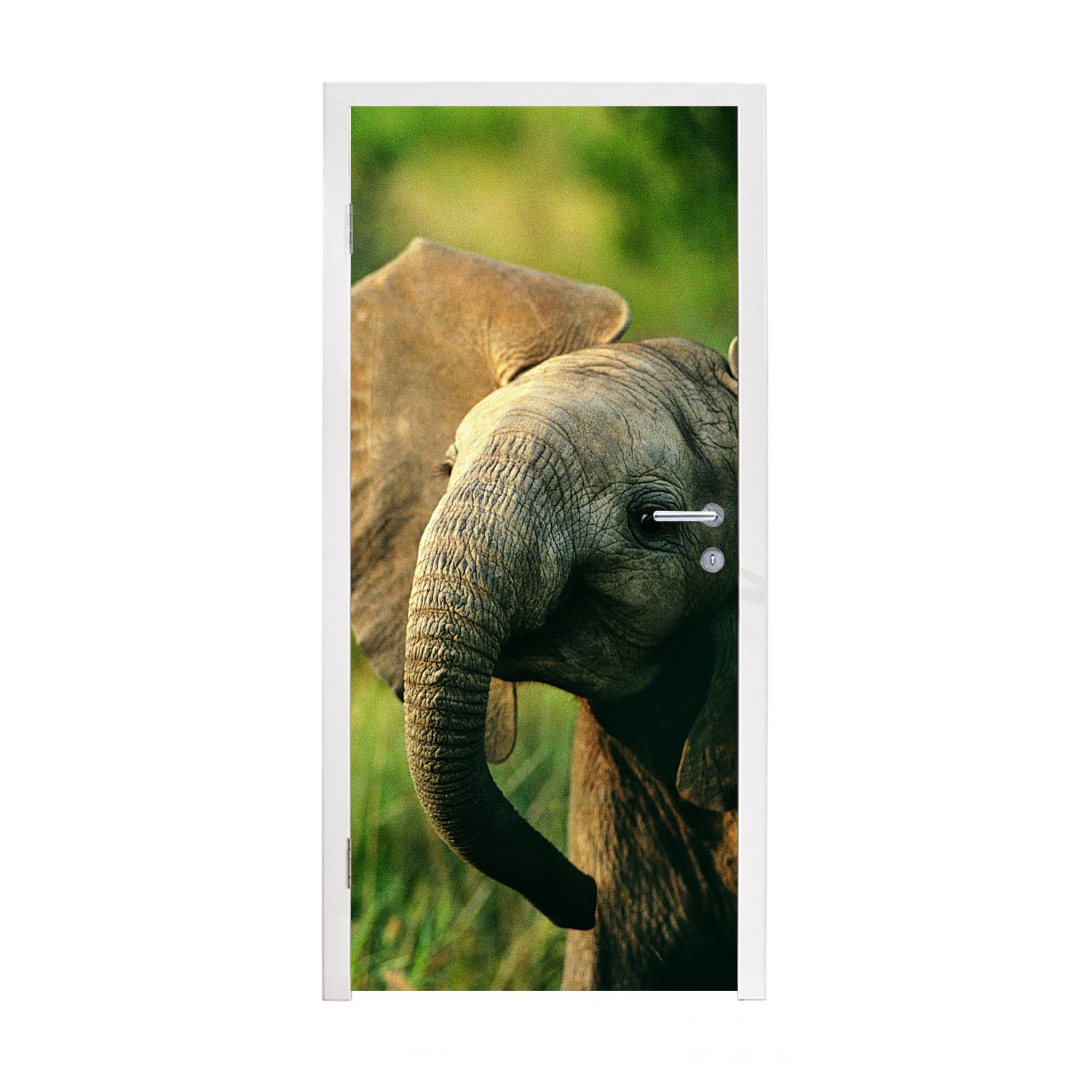 MuchoWow Türtapete Elefant - Grün - Tiere - Natur, Matt, bedruckt, (1 St), Fototapete für Tür, Türaufkleber, 75x205 cm