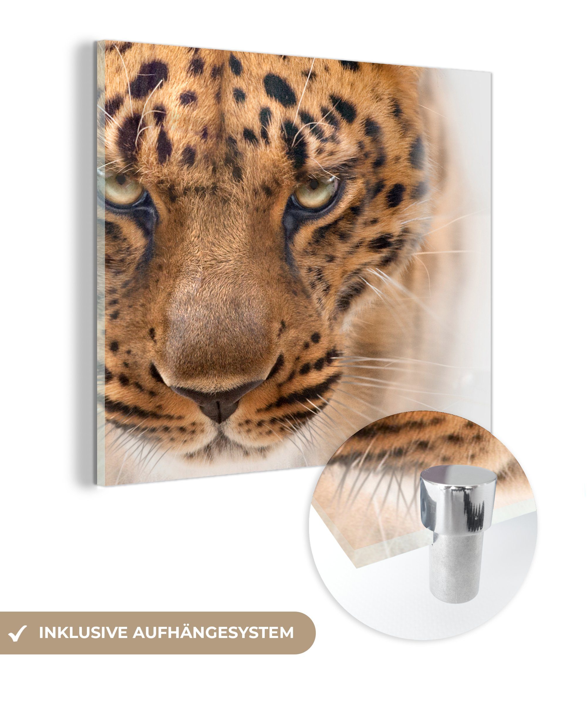 MuchoWow Acrylglasbild Leopard - Porträt - Augen, (1 St), Glasbilder - Bilder auf Glas Wandbild - Foto auf Glas - Wanddekoration