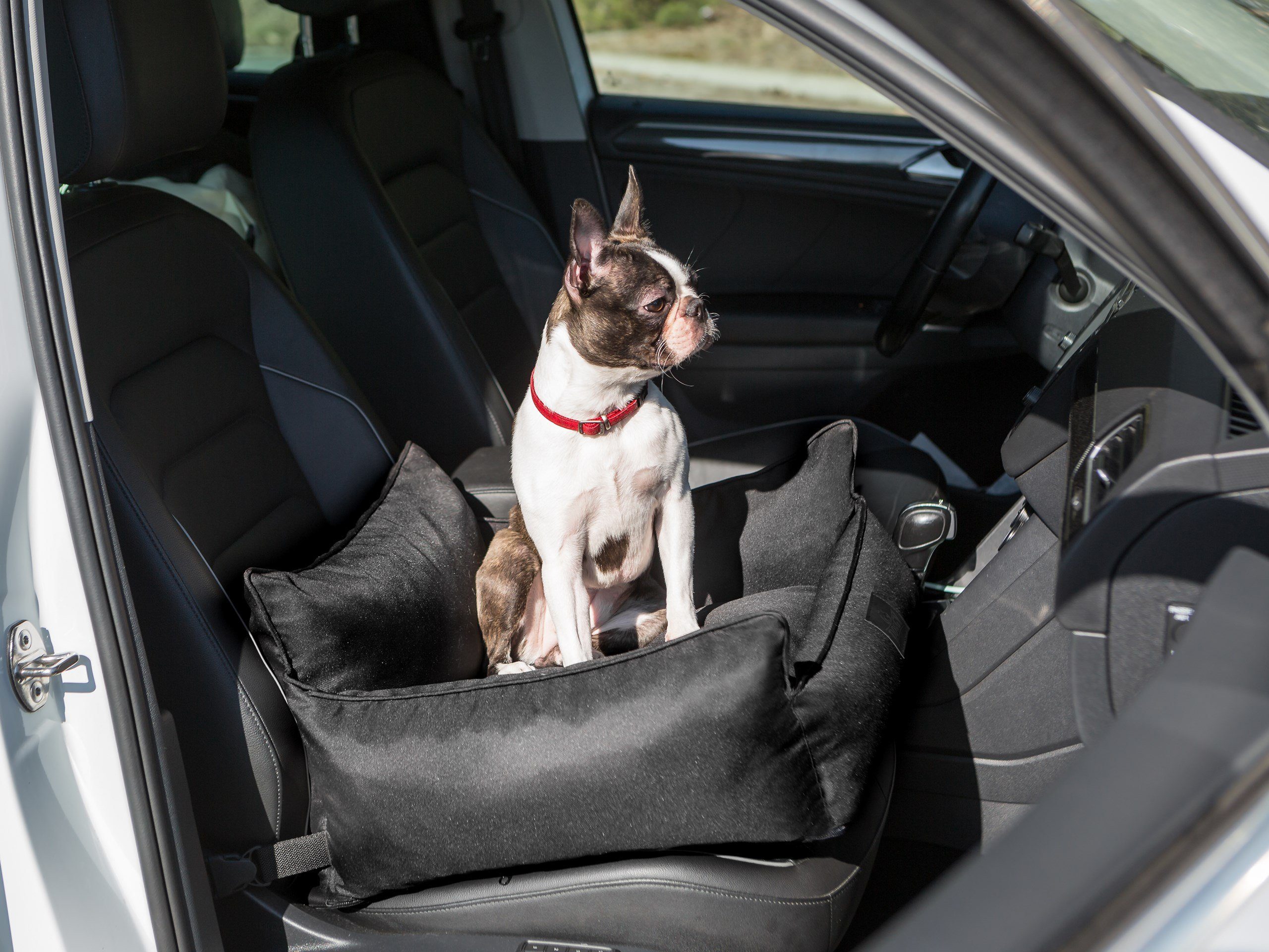 Bjird Hunde-Autositz Hundesitz für kleine Hunde 57 x 55 x 30 cm,  Hundekissen fürs Auto - Bezug abnehmar und washbar - Made in EU
