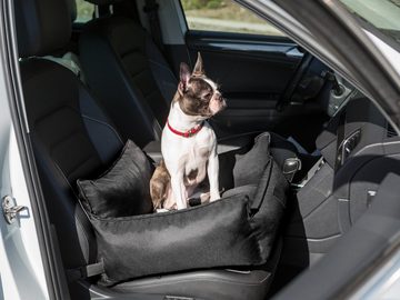 Bjird Hunde-Autositz Hundesitz für kleine Hunde 57 x 55 x 30 cm, Hundekissen fürs Auto - Bezug abnehmar und washbar - Made in EU