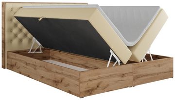 MKS MÖBEL Boxspringbett ALBERO 3, Multipocket-Matratze, Doppelbett, mit Eiche Holzrahmen, mit Kopfstütze