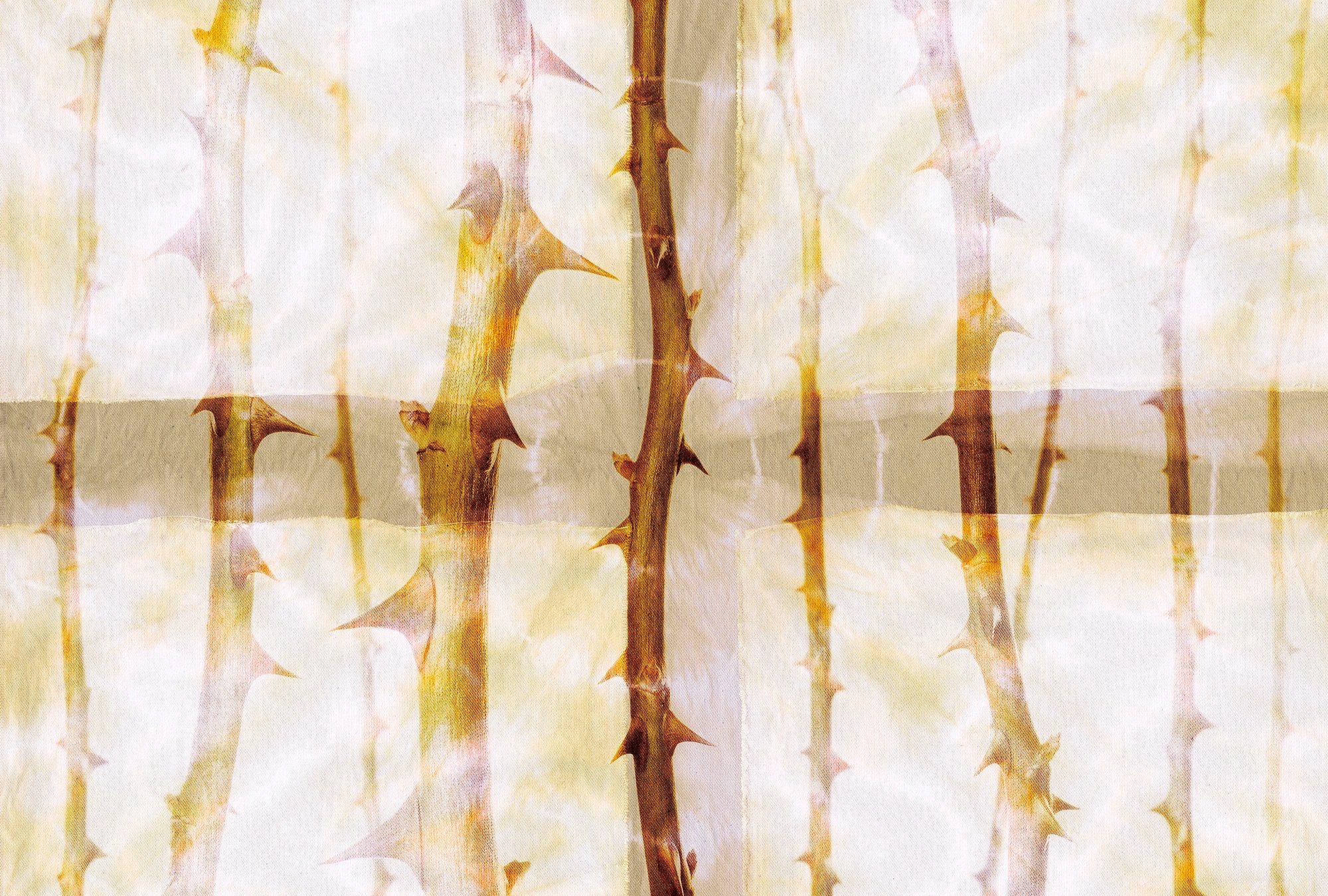 Decke glatt, 2, Thorn (4 Paper Schräge, Wand, 47 Fototapete Architects orange/gelb/beige floral, Vlies, Art St), Atelier