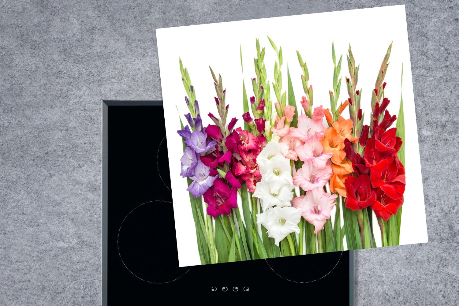 MuchoWow Herdblende-/Abdeckplatte Gladiolen - Blumen 78x78 Vinyl, tlg), Farben, - Arbeitsplatte cm, küche (1 Ceranfeldabdeckung, für