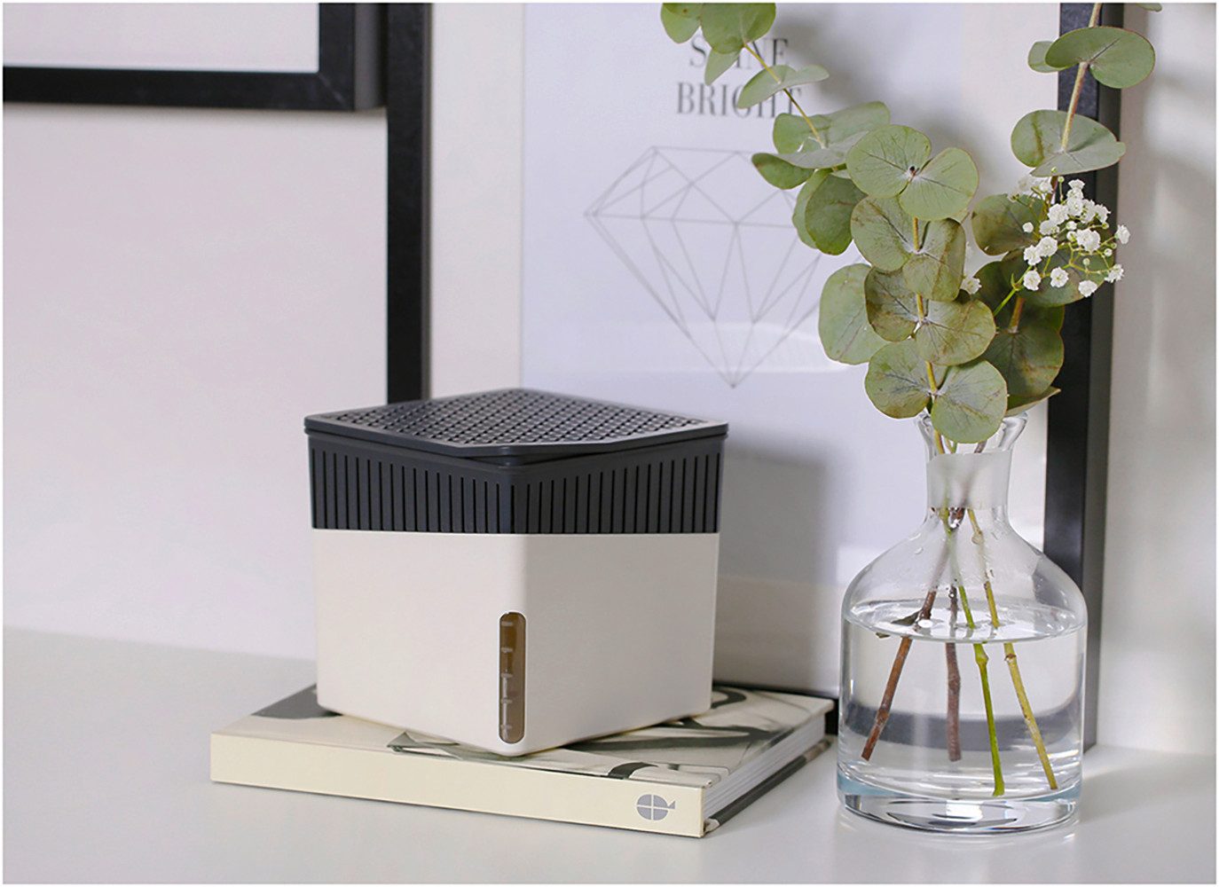 WENKO Luftentfeuchter Modell Cube, für 40 günstig online kaufen