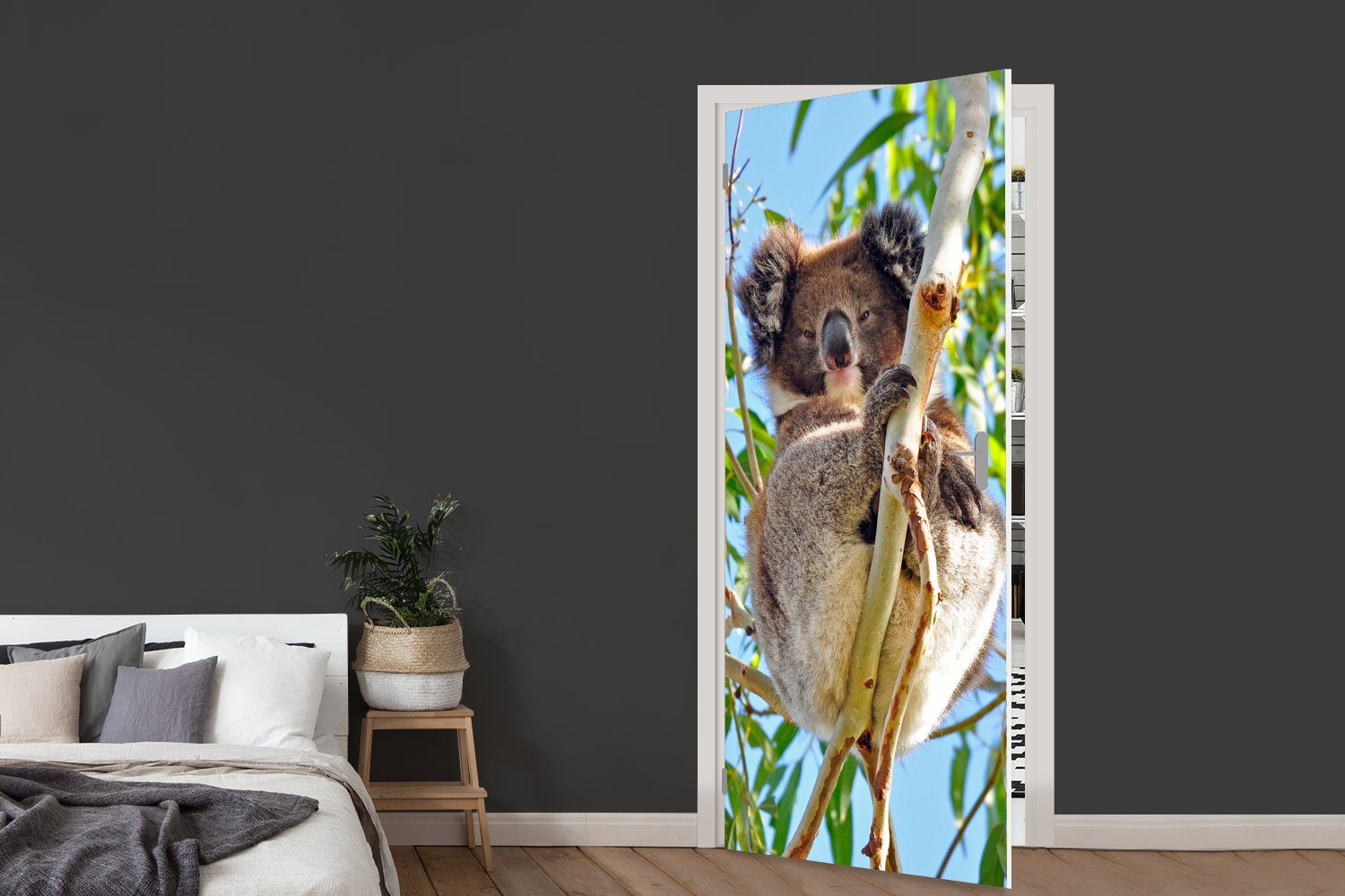 MuchoWow Türtapete Koala Luft Fototapete - - Kinder - Jungen St), 75x205 für (1 - Tür, Türaufkleber, cm bedruckt, Mädchen, Matt