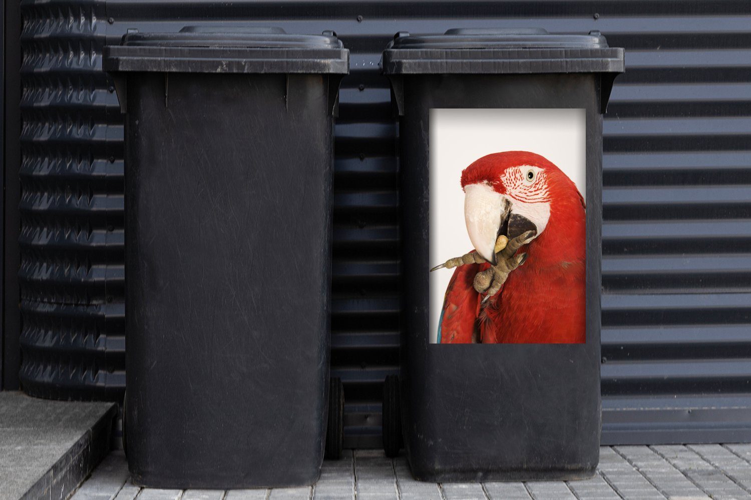Wandsticker Mülleimer-aufkleber, Container, weißem Papagei Rote MuchoWow Abfalbehälter Mülltonne, Sticker, Aras (1 fressen auf Hintergrund St),
