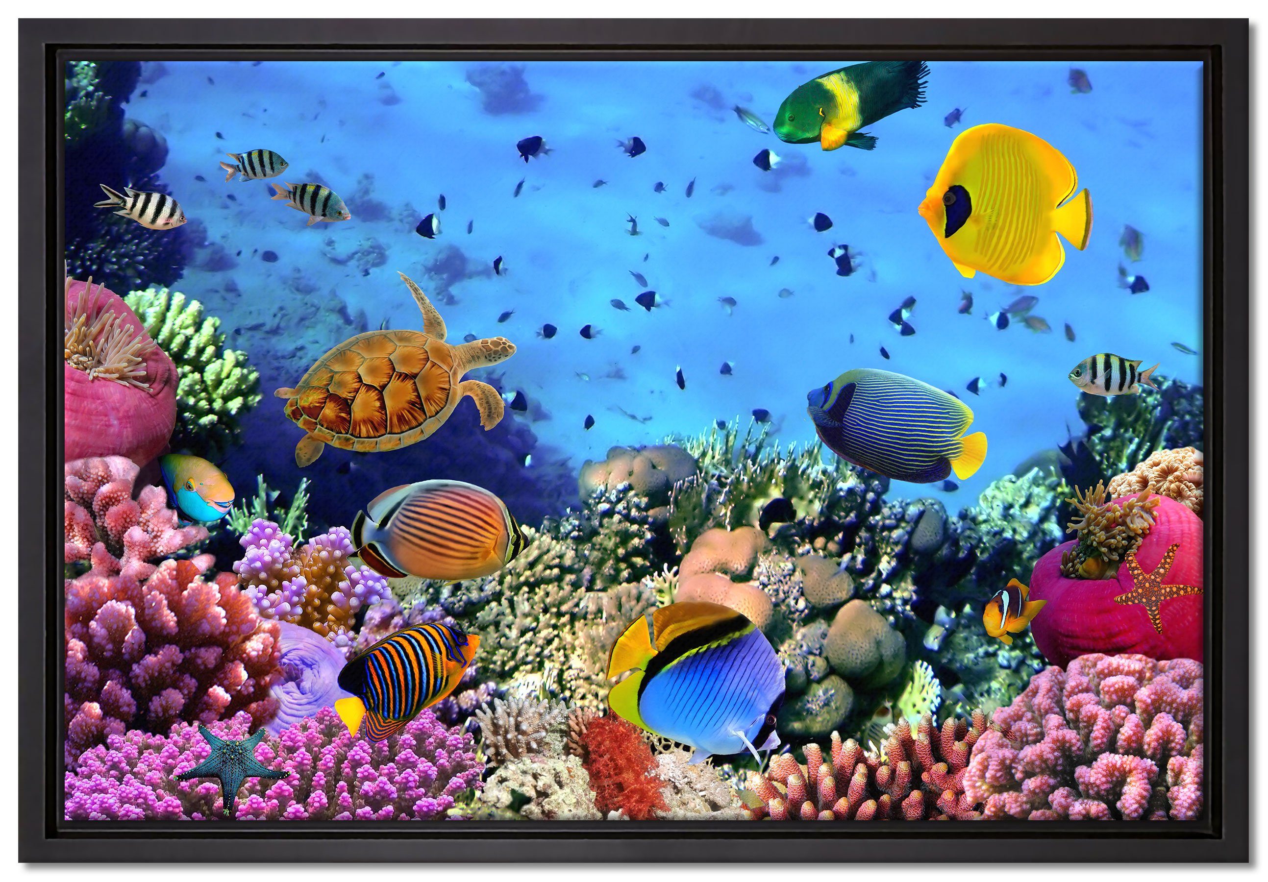 Pixxprint Leinwandbild Fische über Korallenriff, Wanddekoration (1 St), Leinwandbild fertig bespannt, in einem Schattenfugen-Bilderrahmen gefasst, inkl. Zackenaufhänger
