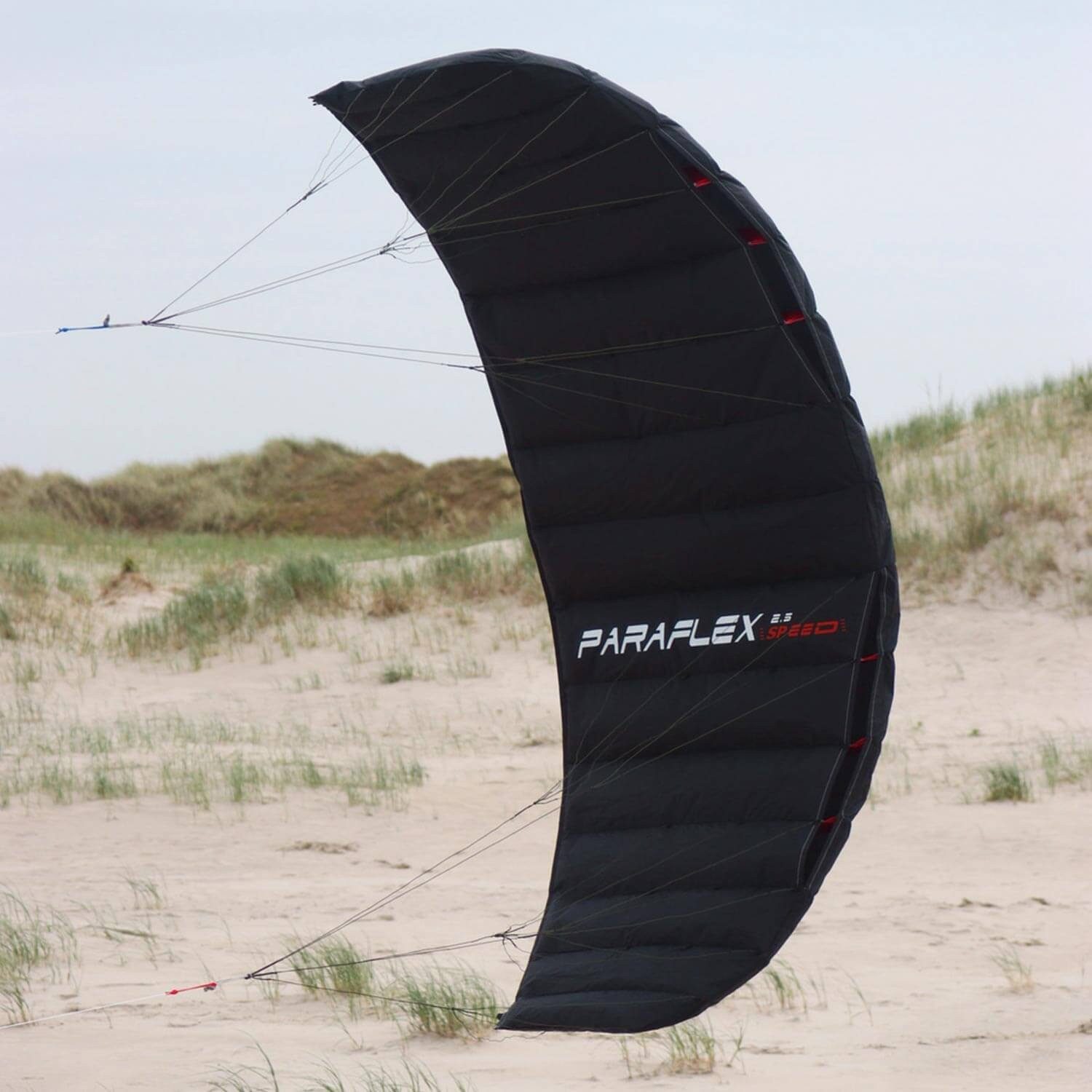 Wolkenstürmer Kite Paraflex Speed 2.5 Stunt Kite 250 cm Kite Only, (Power Lenkmatte 2 Leiner für Fortgeschrittene Speedkite, 1-tlg), Zweileiner Power Lenkdrachen Schwarz 16 Zellen ab 12 Jahren