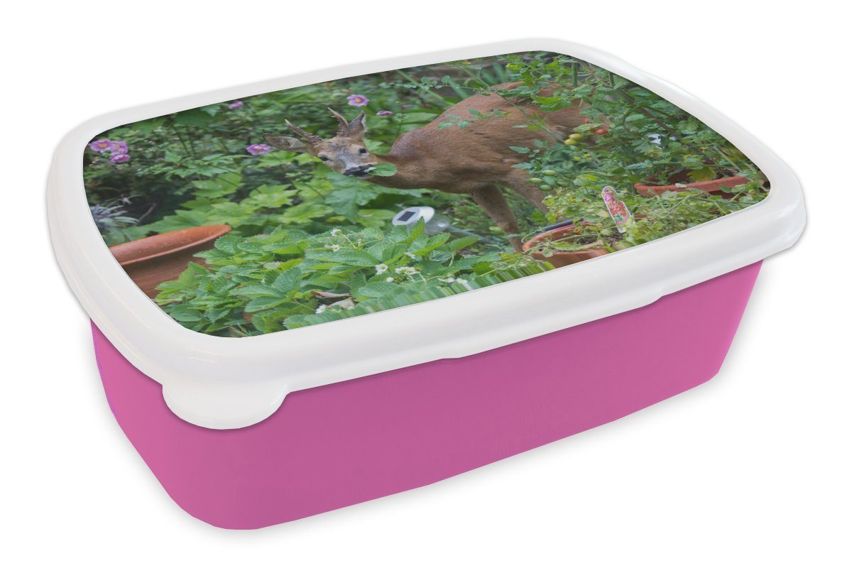 MuchoWow Lunchbox Hirsche - Erdbeere - Garten, Kunststoff, (2-tlg), Brotbox für Erwachsene, Brotdose Kinder, Snackbox, Mädchen, Kunststoff rosa