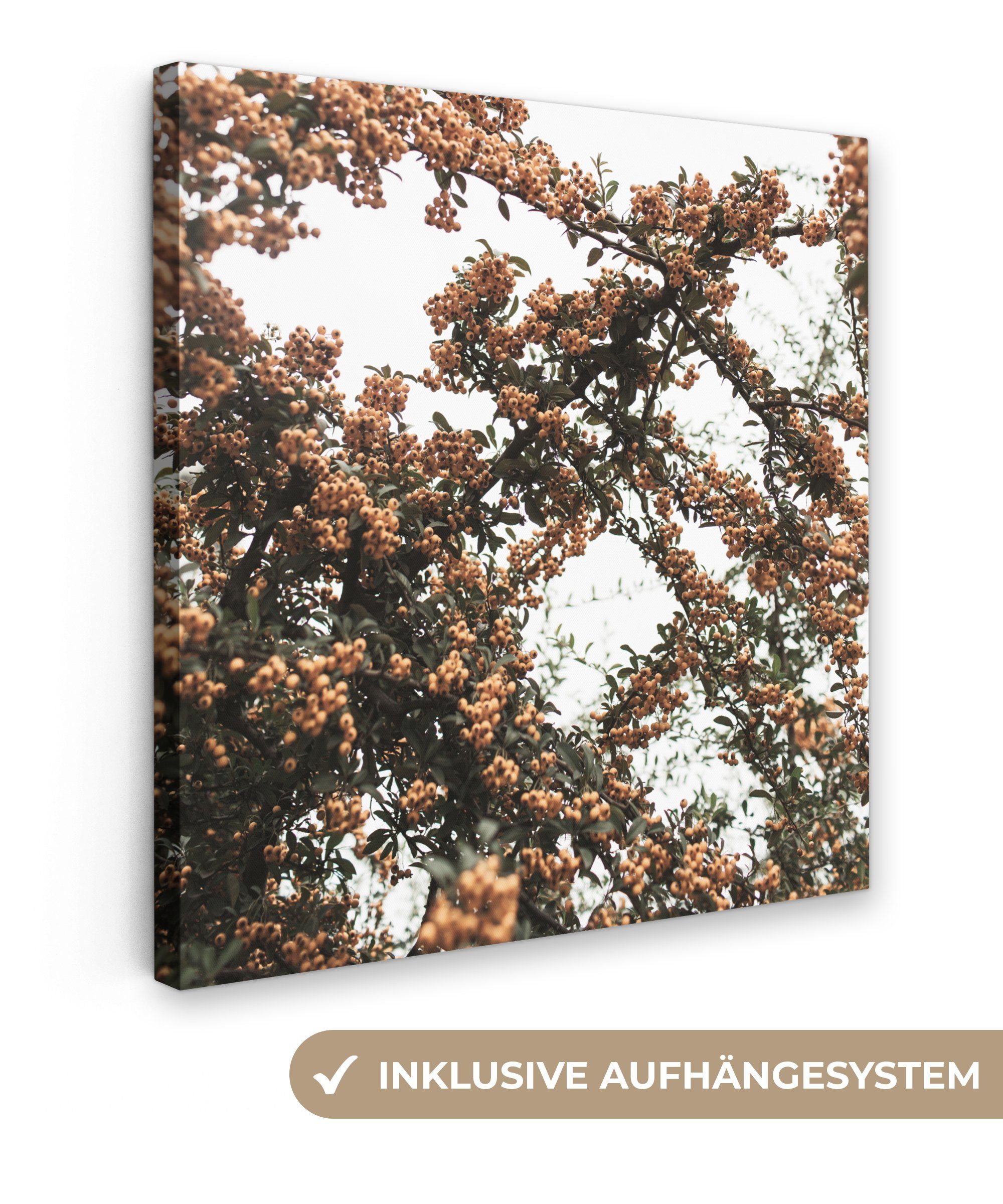 OneMillionCanvasses® Leinwandbild Natur - Herbst - Beeren - Busch, (1 St), Leinwand Bilder für Wohnzimmer Schlafzimmer, 20x20 cm