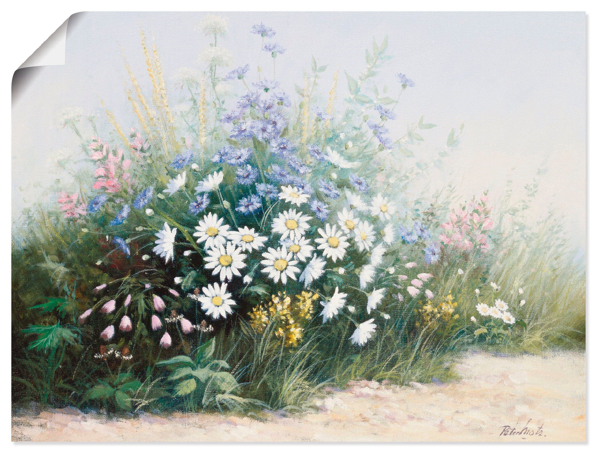 Artland Wandbild Blumen Serenade, Blumen (1 St), als Leinwandbild, Wandaufkleber oder Poster in versch. Größen
