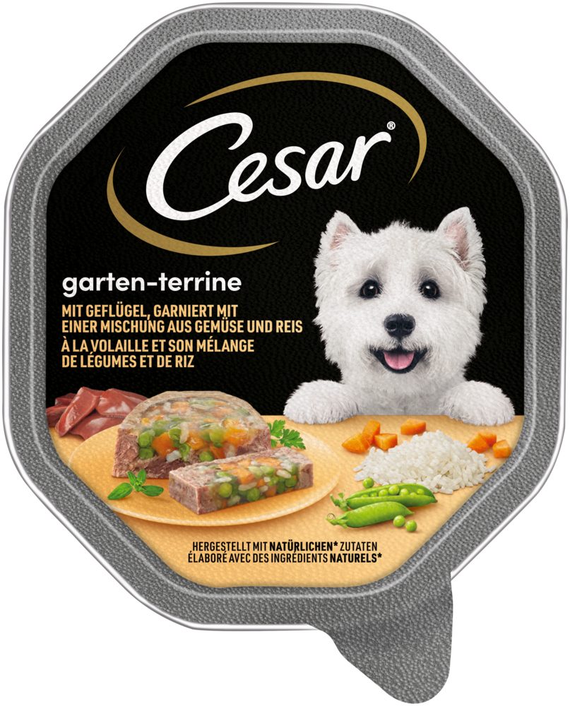 Cesar CESAR® Schale Garten-Terrine mit Geflügel, Gemüse und Reis 150g, Nassfutter für: Hund