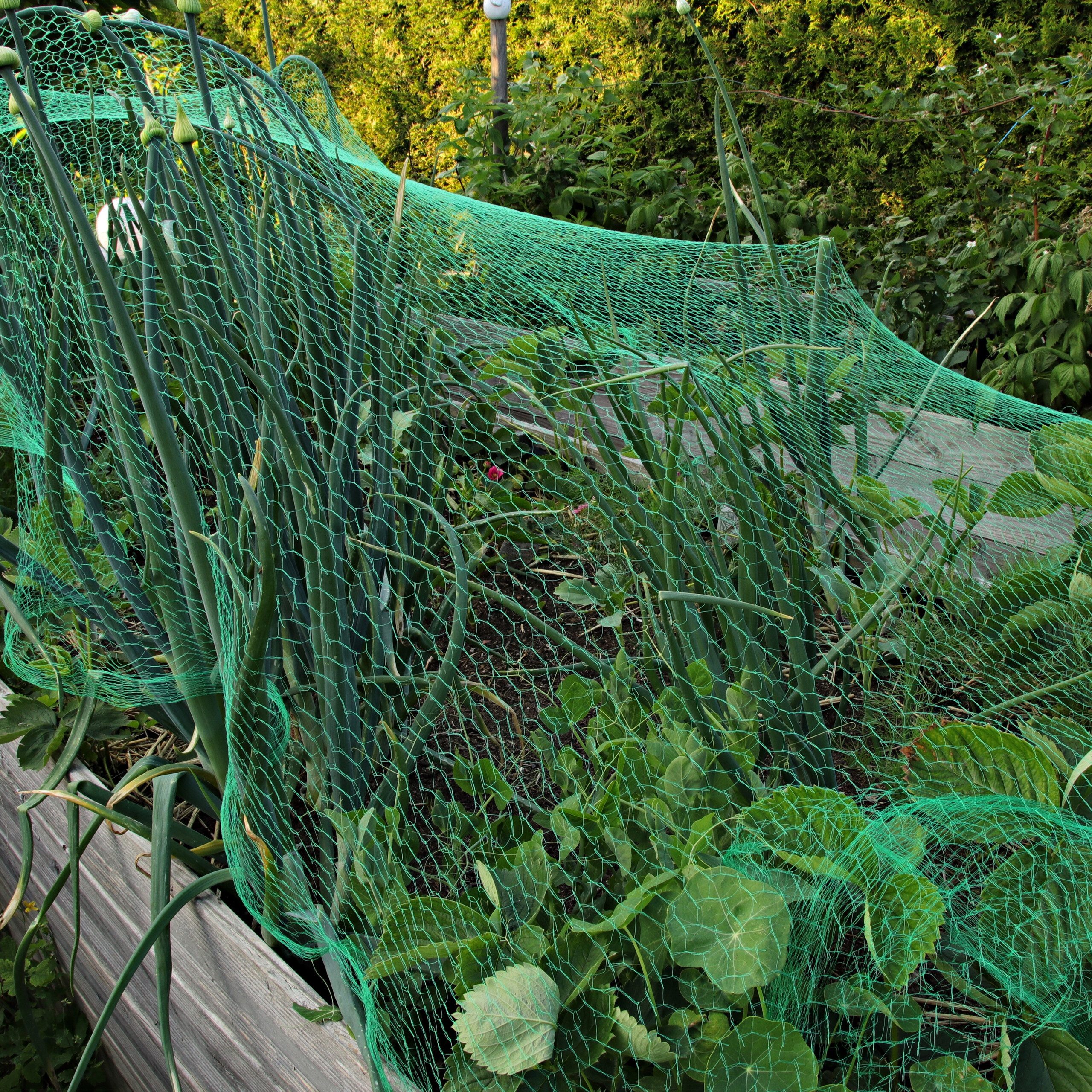 relaxdays Laubschutznetz Engmaschiges Vogelnetz 3er Set (3-St), 10 x 4 m