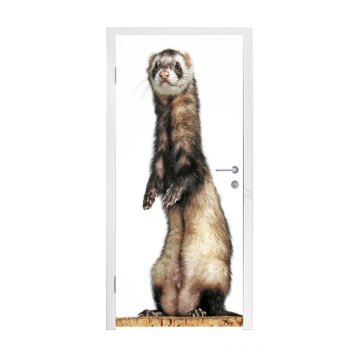 MuchoWow Türtapete Frettchen - Tiere - Fell, Matt, bedruckt, (1 St), Fototapete für Tür, Türaufkleber, 75x205 cm