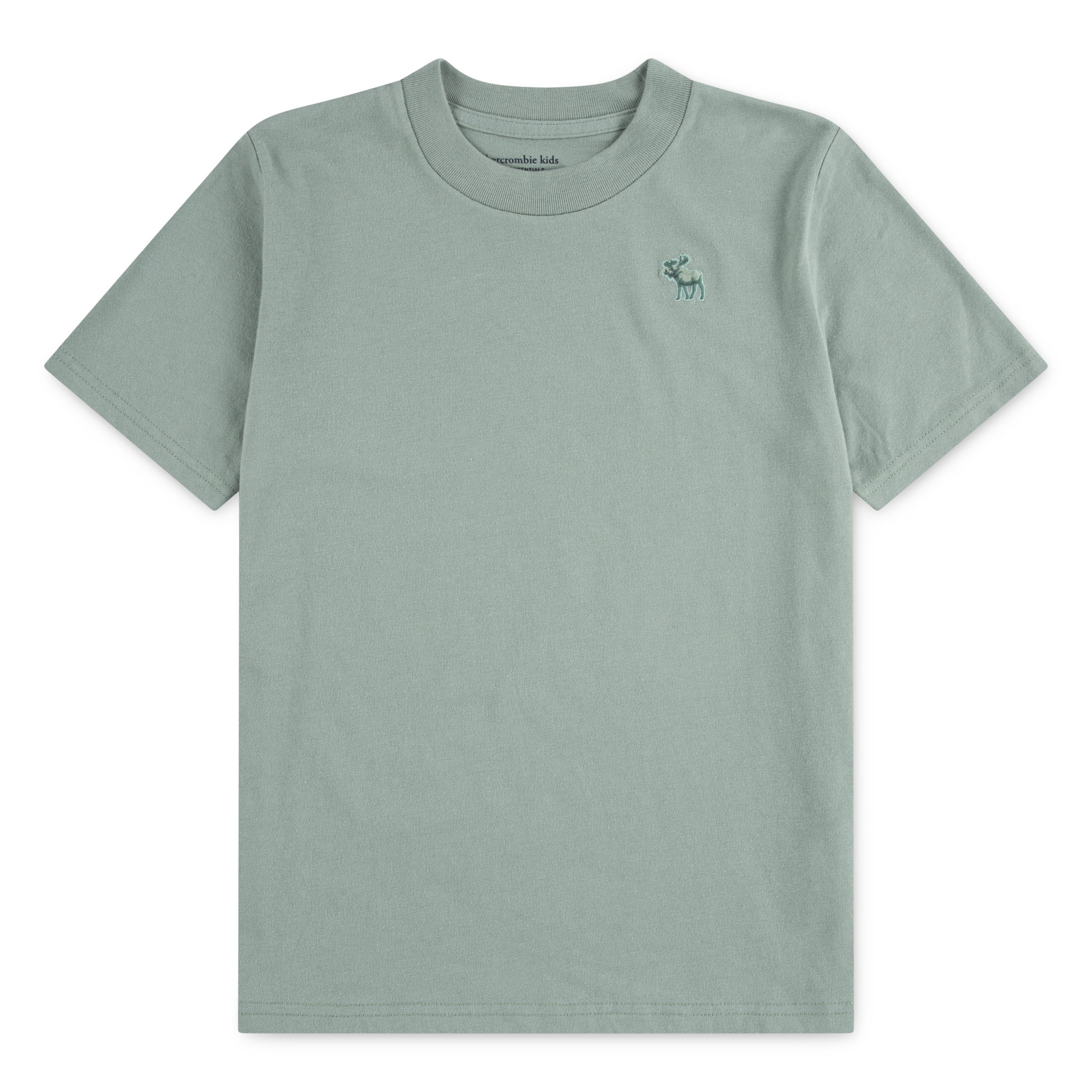Abercrombie Kids T-Shirt AFBSHORT SLEEVE ESSENTIA mit Logo-Stickerei, for boys