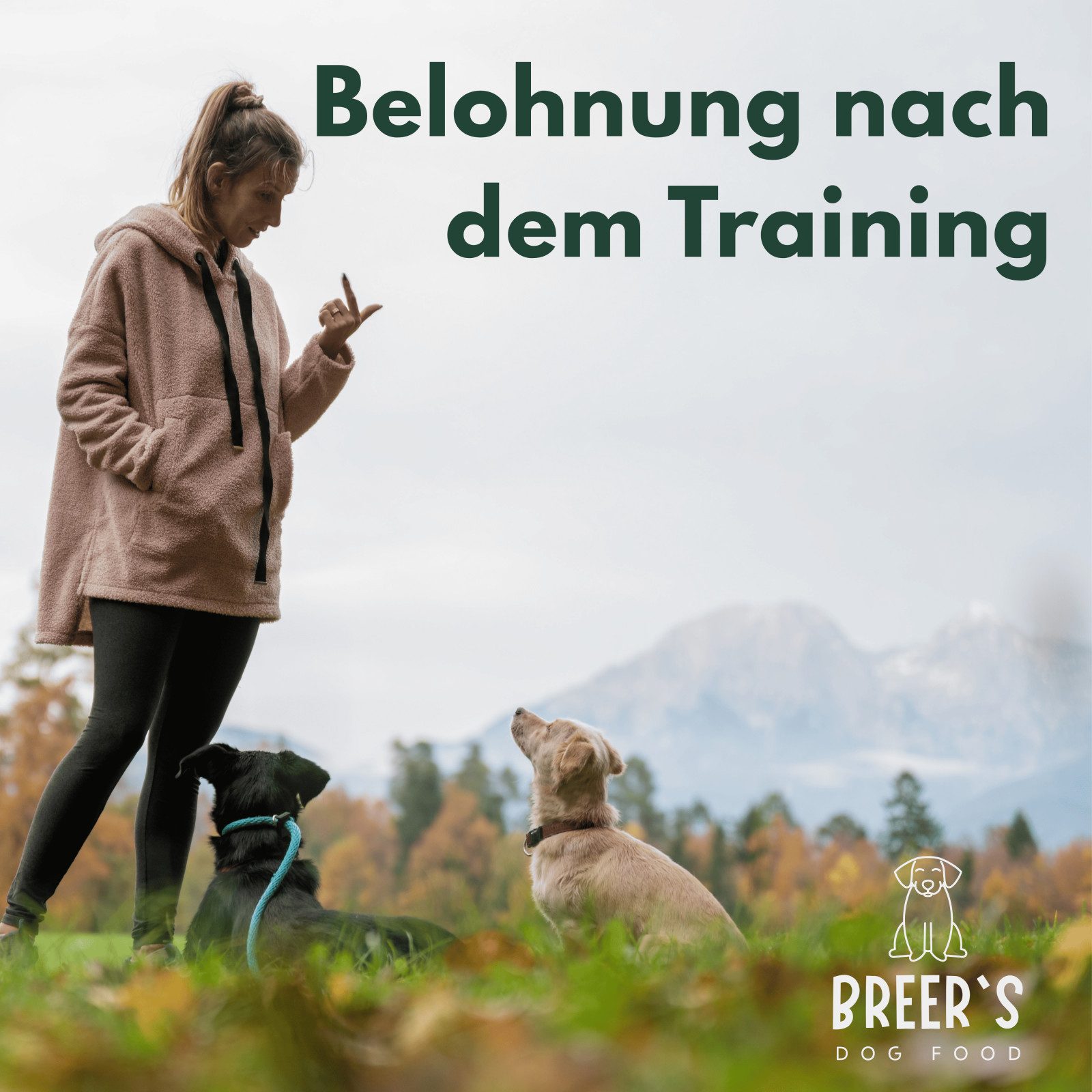 Breers Pet Food Rinderkopfhautplatten getrocknet 5 kg Kausnack Hundeleckerlie, Einzelfuttermittel für Hunde für: Hunde, Harter Kauartikel, Leckerli getreidefrei, Hundesnack zuckerfrei