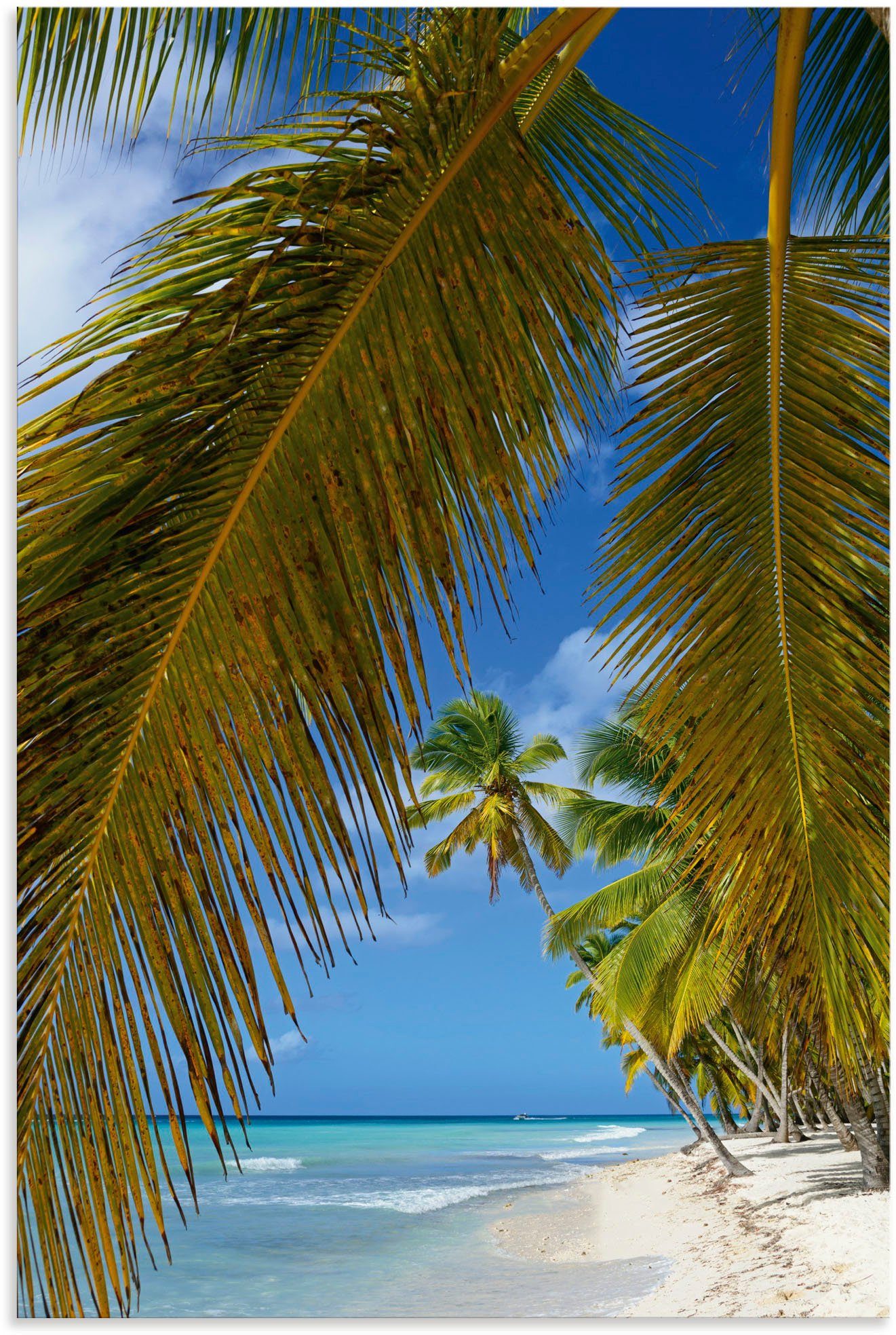 Artland Wandbild Palmenstrand, Insel Isla Saona, Karibikbilder (1 St), als Alubild, Leinwandbild, Wandaufkleber oder Poster in versch. Größen